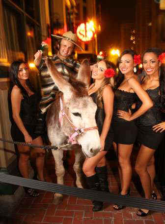 Dwarf Entertainer NYC